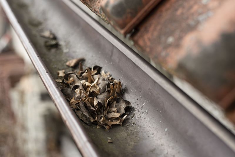 保鲜是关键：普洱茶能保存多久？
