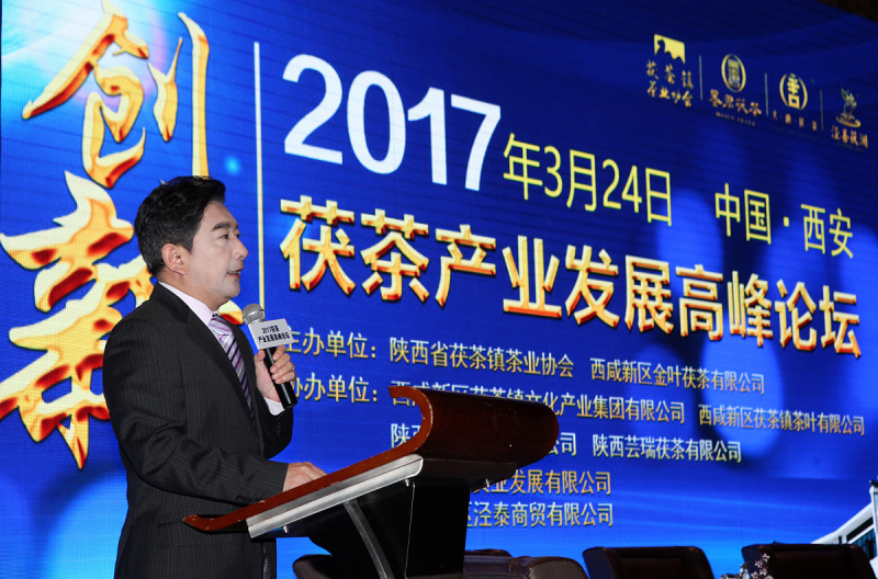 泾阳茯茶2016- 解析历史与现状