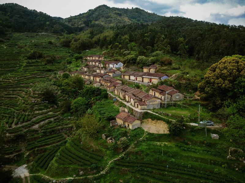 武夷山市上梅乡茶景村 - 探索福建的茶园