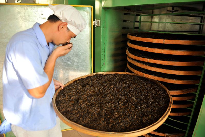 藏茶的工艺及特点：保留历史文化的独特韵味