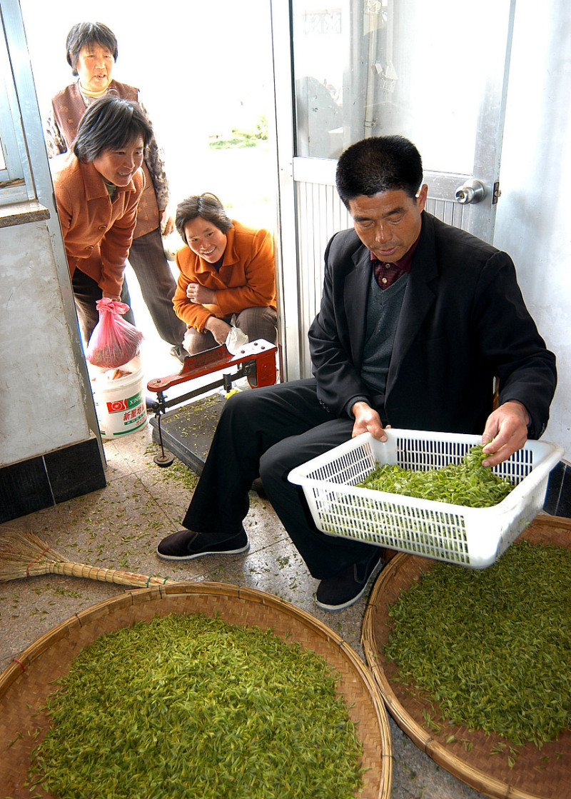 老师收茶叶犯法吗：解读相关法律条款和案例