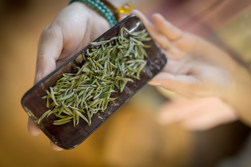 金骏眉茶的产地：闽南武夷山一带的传统茶区