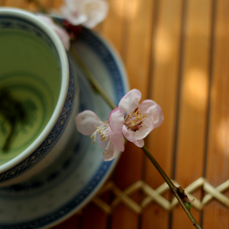 从心出发，品味生活之美——心静茶味香上一句