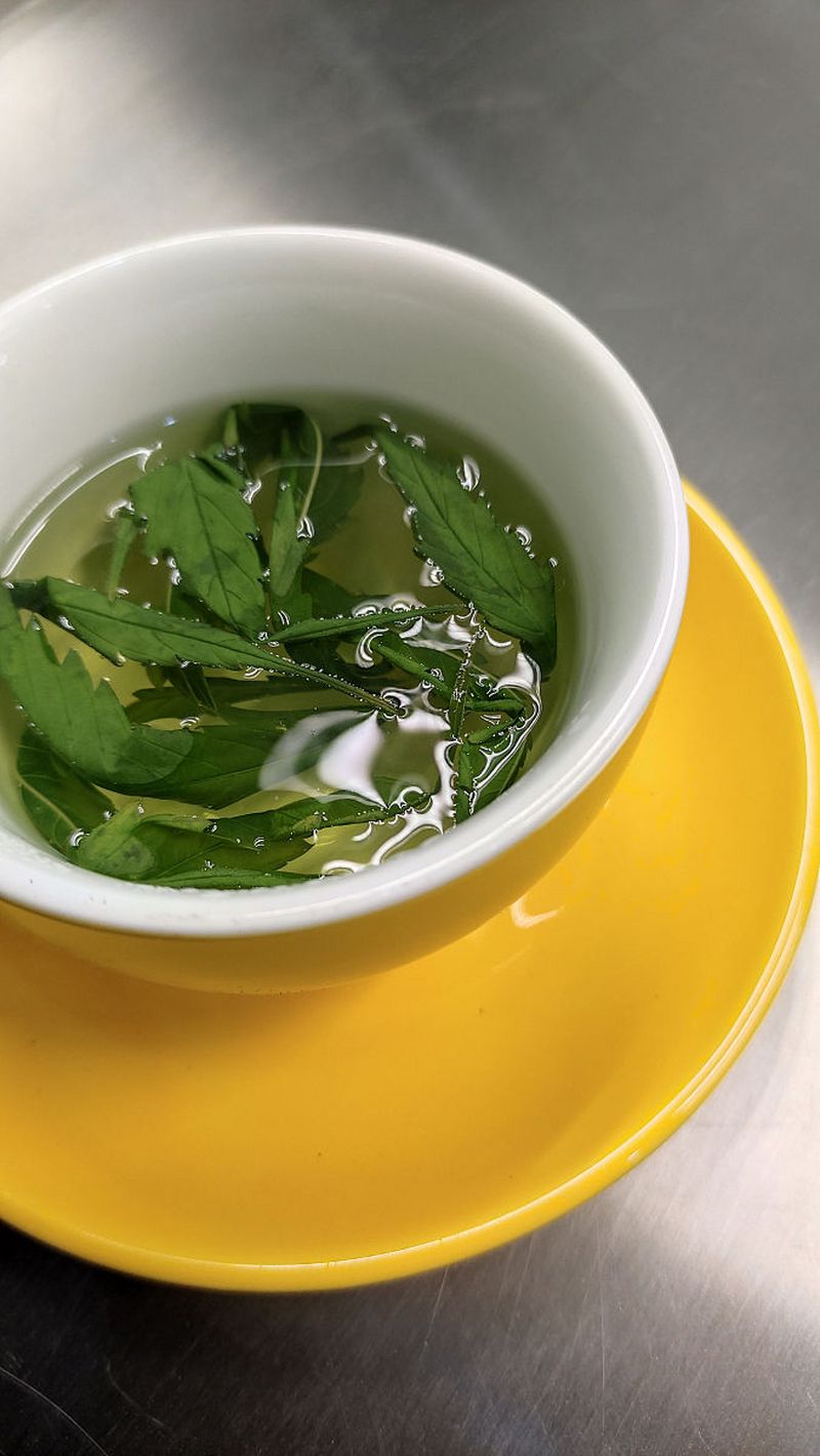 普洱茶是寒性的吗 - 传统茶饮中有关寒热性的探究