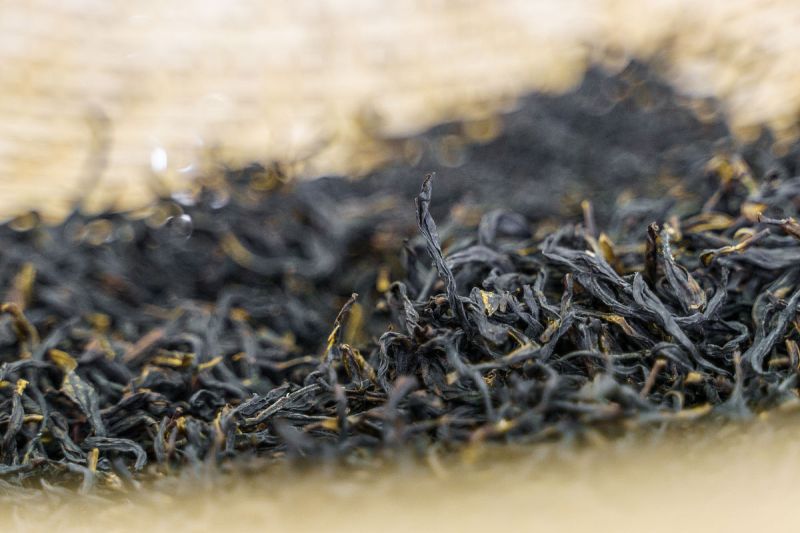 凤凰单枞茶图片：一项极具历史价值的文化遗产