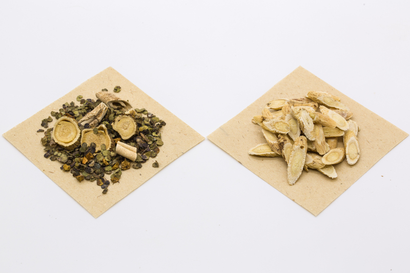 黄芪能和茶叶一起泡水喝吗？科学解答及饮用技巧！