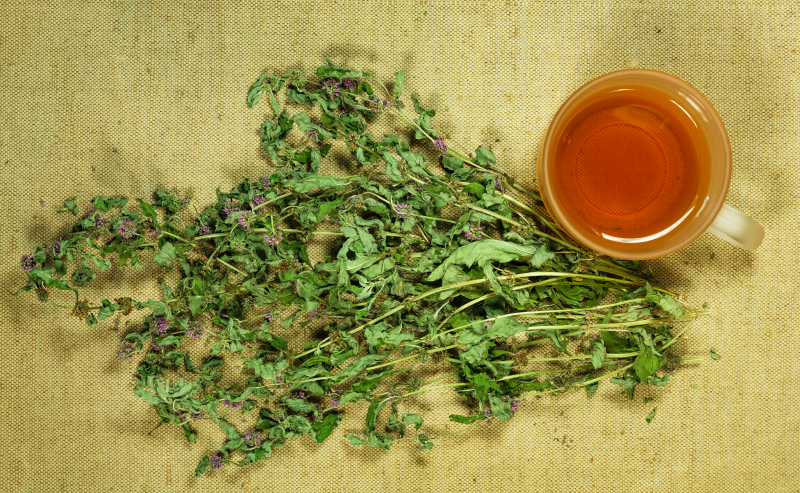 尿酸高可以喝溪黄草茶吗：了解这种传统中草药的好处！