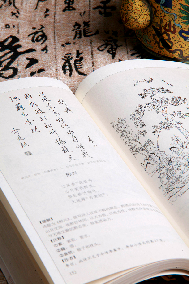 流放by茶叶二两免费阅读- 探索新的文学世界