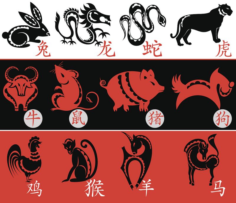 茶字指什么生肖？——解读茶字与十二生肖的关系