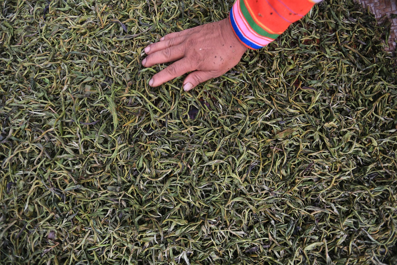 刀子茶是什么茶：一场传统与现代的完美结合