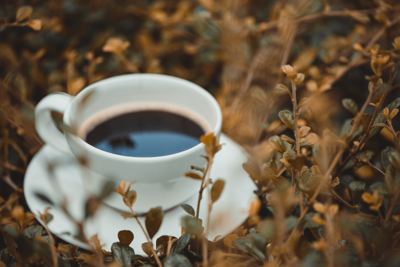 咖啡和茶能同饮吗：你需要了解的一切