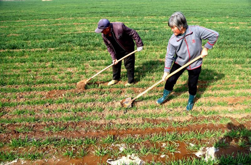 湖南湘潭县茶恩天气- 当地天气如何影响农民耕作和生活？