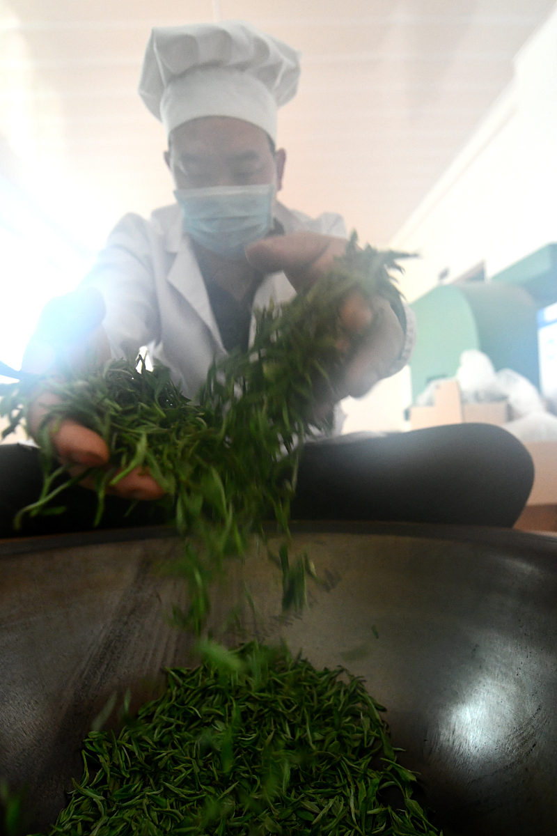 如何快速查询制茶师证书？制茶师证书查询全攻略