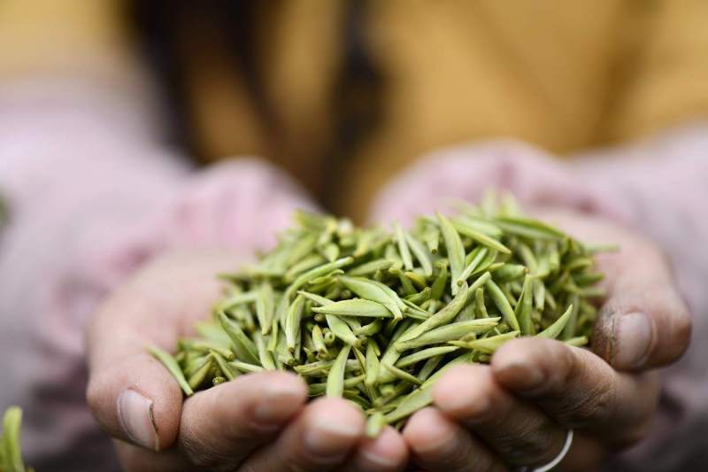 打造独特且适合茶叶的名字：让您的茶叶品牌更出色