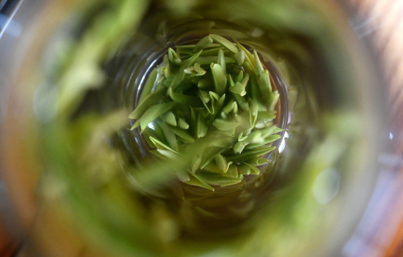 狮头脚茶怎么样？狮头脚茶的品质，口感和功效简介
