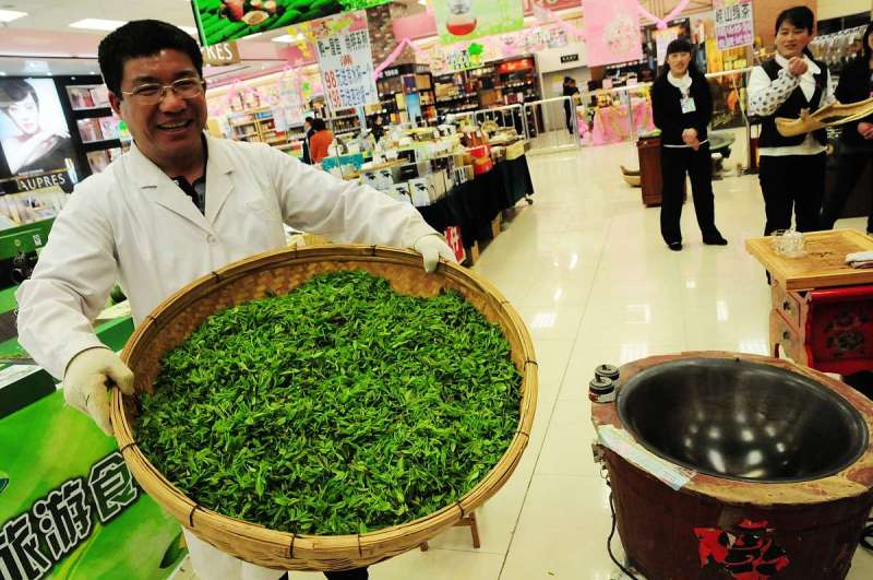 铁观音鲜茶多少钱一斤：探究价格背后的价值