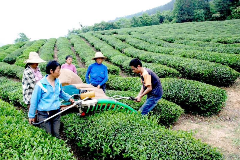 北京共享茶叶机哪家好：最佳共享茶叶机品牌和服务供应商