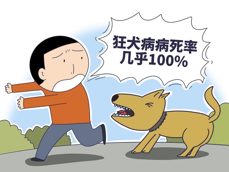 打完狂犬疫苗能喝柠檬茶吗？最全解答