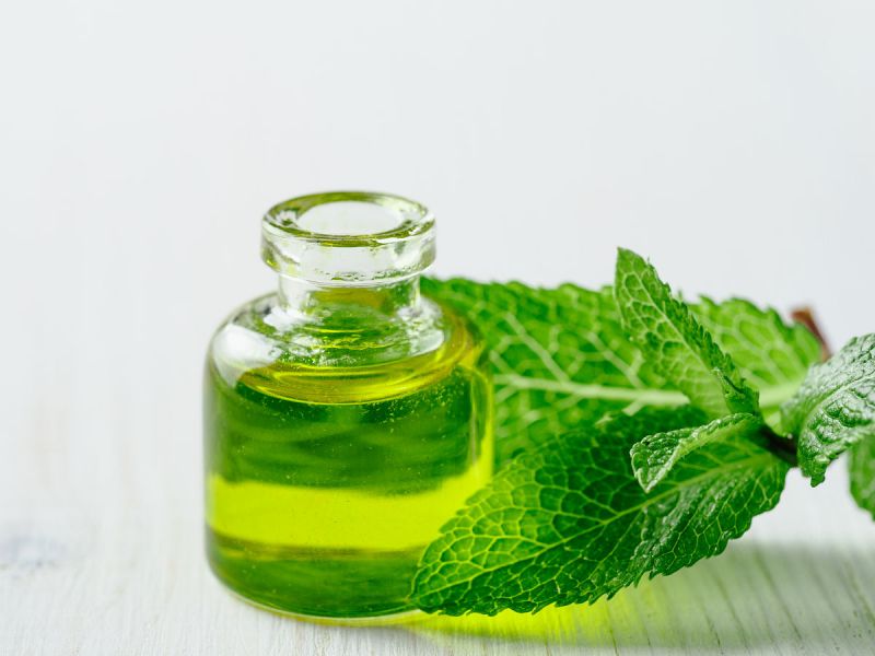 薄荷茶解药吗？揭开谜团