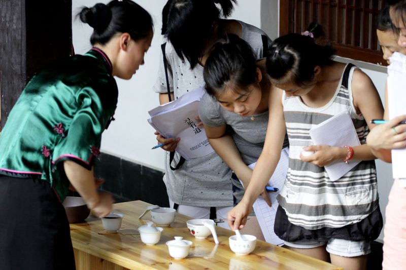 婺源茶校有什么专业：解析中国茶艺的学院