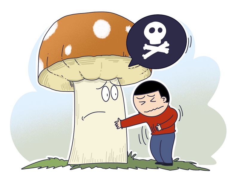 玉米须茶解药吗？一次性解答所有疑问，并附上正确的用法、副作用、禁忌症等