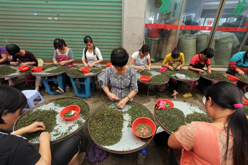 茶叶加工三级工题库- 打造茶叶行业高素质工人的必修资料