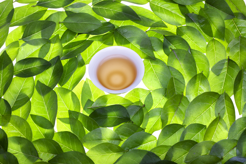 享受美好的视觉盛宴——关于茶的图片壁纸