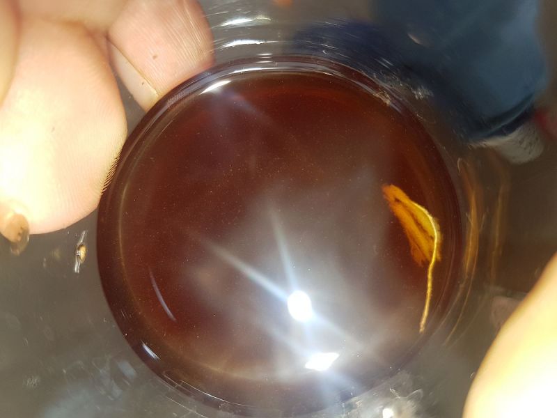茶与健康研究现状：如何喝茶才更健康