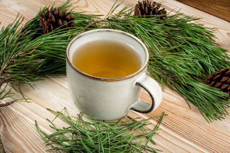 寿瑞祥全松茶官网-带您领略松树的味道