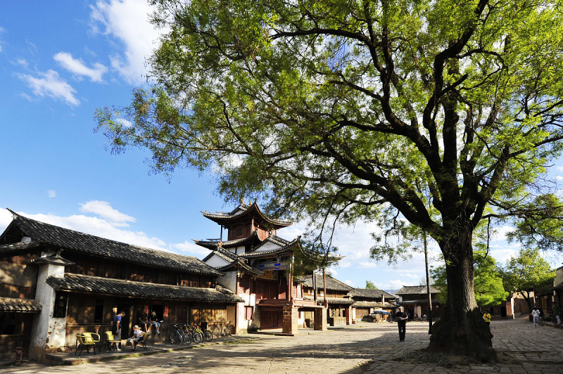 探索大理州茶马古道:一段魅力非凡的历史文化之旅 探索大理州茶马古道:一段魅力非凡的历史文化之旅