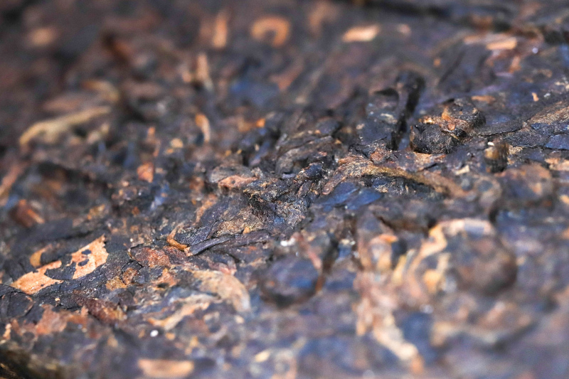 黑茶上面的白点点- 如何辨别正宗的黑茶？