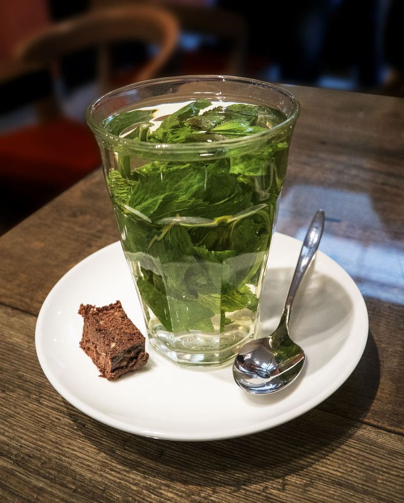 新沂新叶茶饮：健康生活的新选择